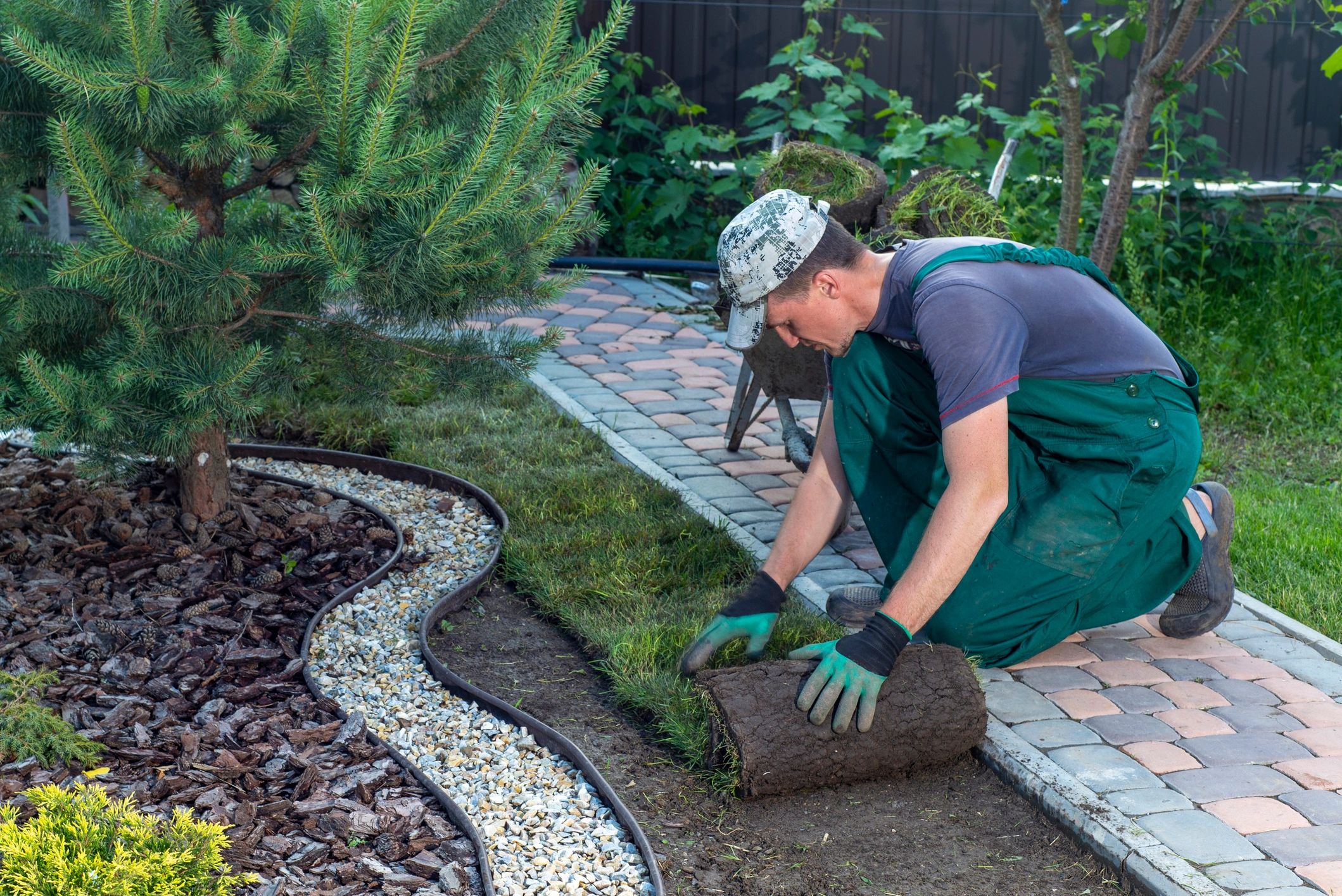 Lawn Care & Maintenance