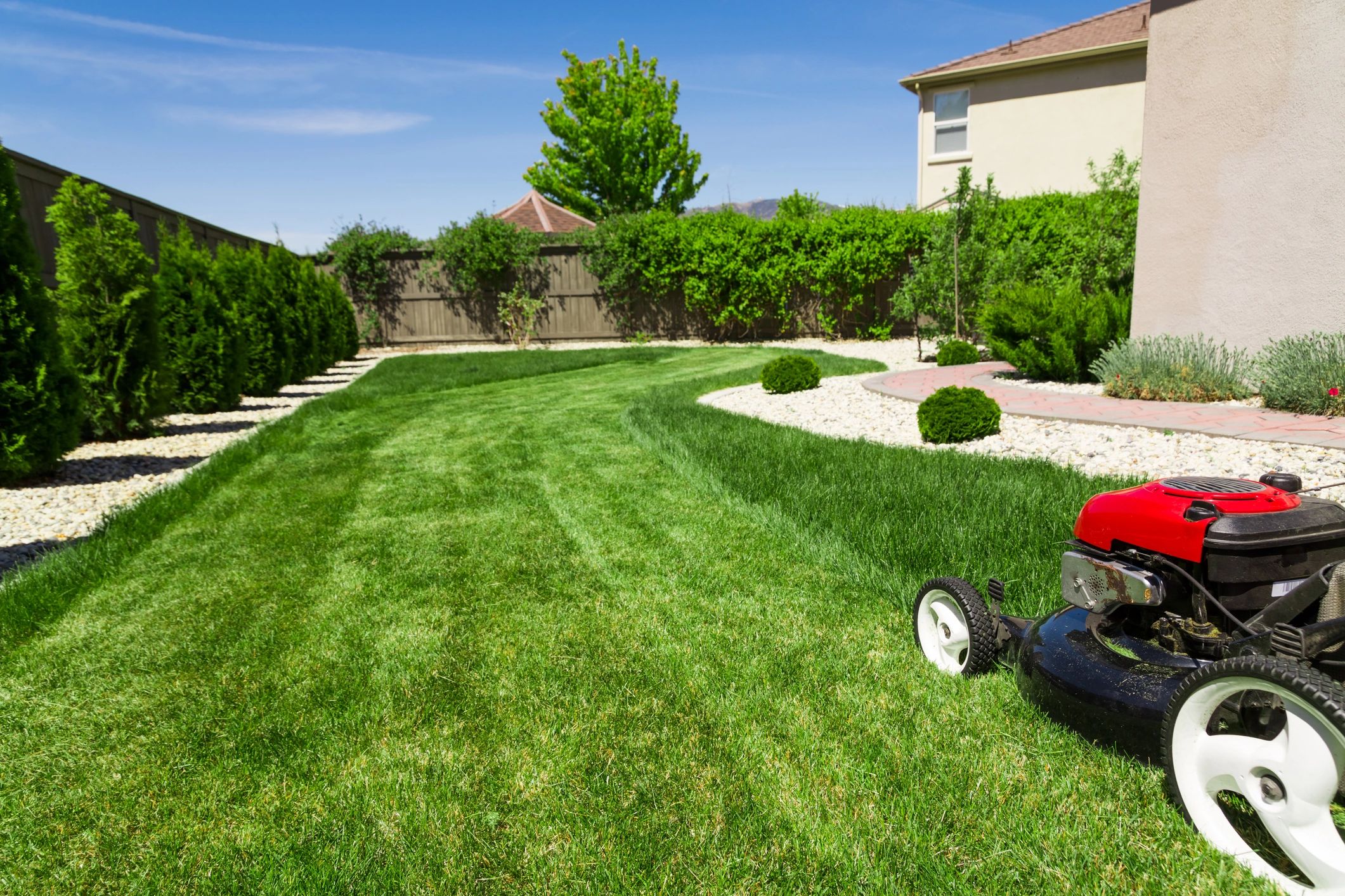Garden Installation & Upkeep