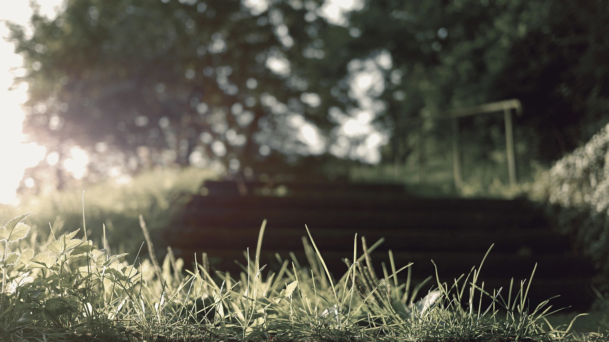 Lawn Solutions